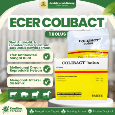COLIBACT BOLUS ECER – Untuk Diare Hewan Sapi, Kuda, Domba, Babi Dan Lainnya.