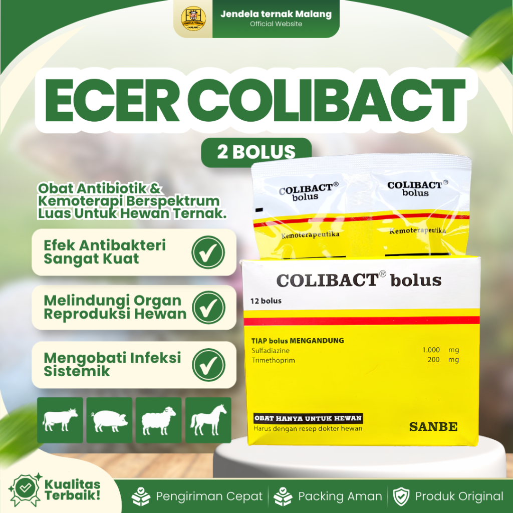 COLIBACT 2 BOLUS 1 BLISTER (1 STRIP ISI 2 BOLUS) - Obat Ternak Sapi Kuda Domba Babi