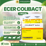 COLIBACT 2 BOLUS 1 BLISTER (1 STRIP ISI 2 BOLUS) – Obat Ternak Sapi Kuda Domba Babi