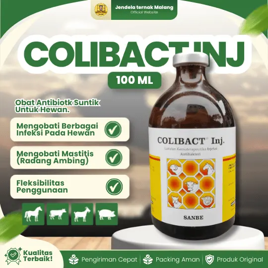 COLIBACT Inj 100 ML – Injeksi Untuk Sapi, Kambing, Kuda, Babi Dan Hewan Ternak Lainnya.