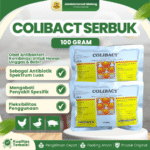 COLIBACT SERBUK 100 GRAM - Untuk Colibacillosis, Coryza, Fowl Cholera, Pullorum, Snot/Coryza.