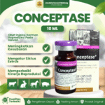 CONCEPTASE 10 ML BY AGROVET – Hormon Kesuburan Dan Gangguan Reproduksi Hewan (Buserelin GNRH)