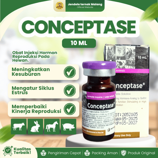 CONCEPTASE 10 ML BY AGROVET - Hormon Kesuburan Dan Gangguan Reproduksi Hewan (Buserelin GNRH)