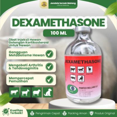 DEXAMETHASONE 100 ML BY PANTEX HOLLAND – Anti Radang & Alergi Pada Hewan Ternak