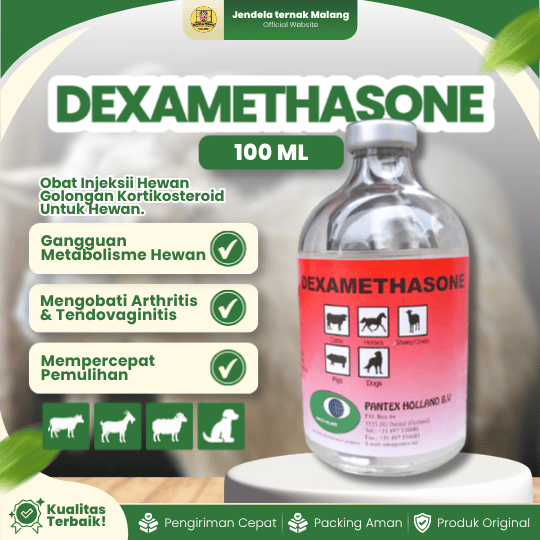 DEXAMETHASONE 100 ML BY PANTEX HOLLAND - Anti Radang & Alergi Pada Hewan Ternak