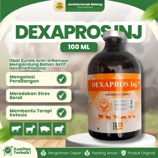 Dexapros Inj 100 ml / Vadco