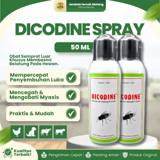 DICODINE SPRAY 50 ML – Mempercepat Penyembuhan Luka Dan Bebas Lalat Dan Larva – GUSANEX MINI.