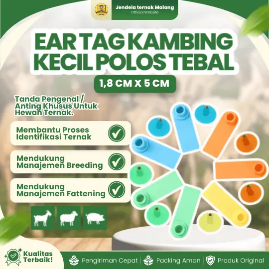 EAR TAG KAMBING KECIL POLOS 1,8 CM X 5 CM TEBAL – Ear tag Kambing, Domba, Babi Dan Hewan Ternak Lainnya Tanpa Nomor.