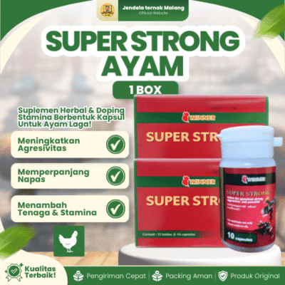 SUPER STRONG AYAM 1 BOX (12 BOTOL) – Suplemen Vitamin Multivitamin Ayam Penambah Stamina Ayam