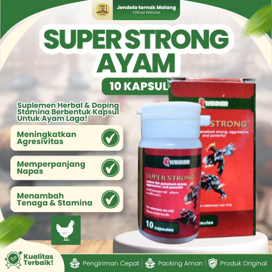 SUPER STRONG AYAM 1 BOTOL (ISI 10 KAPSUL) - Vitamin Jamu Ayam Bangkok