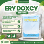ERY DOXCY 250 GRAM – Mengatasi Masalah Pernafasan dan Pencernaan Unggas.