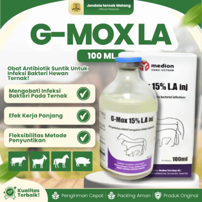 G-MOX LA 100 ML BY MEDION – Untuk Sapi, Kambing, Babi, Kuda Dan Hewan Ternak.
