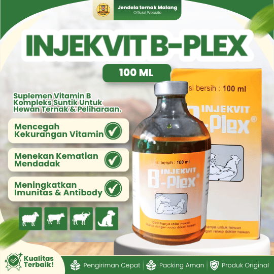 INJEKVIT B-PLEX 100 BY MEDION - Tingkatkan Dan Memperbaiki Produktivitas Imun Hewan Ternak.