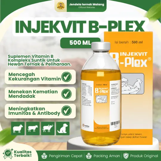 INJEKVIT B-PLEX 500 ML – Tingkatkan Produktifitas dan Imun Hewan Ternak Sapi Kambing Domba Anjing Kucing Kuda Kerbau