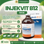 INJEKVIT B12 100 ML BY MEDION - Untuk Pertumbuhan, Selera Malkan, Anemia Dan Radang Pada Kulit Hewan Ternak.