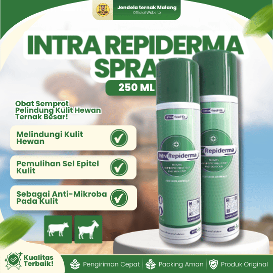 INTRA REPIDERMA SPRAY 250 ML - Untuk Luka Kuku Dan Permasalahan Kulit, PMK Like LIMOXIN SPRAY.