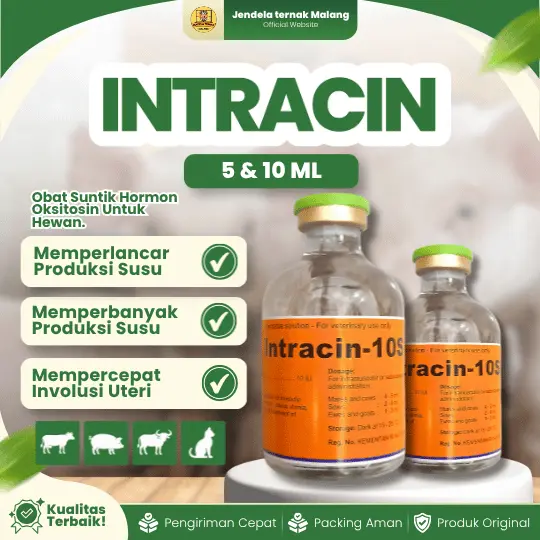 INTRACIN 10S 50 ML – Hormon Perangsang Kontraksi Uterus dan Kelenjar Mamalia.