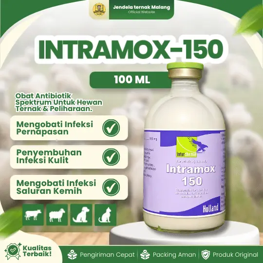 INTRAMOX-150 ISI 100 ML – AB Membunuh Bakteri Pada Saluran Cerna Pada Ternak Sapi, Kambing, Domba