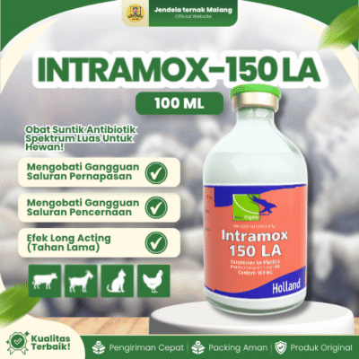 INTRAMOX-150 LA 100 ML – Untuk Masalah Saluran Pernafasan Dan Pencernaan Pada Hewan