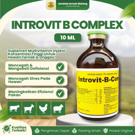 INTROVIT B COMPLEX 100 ML BY HOLLAND INTERCHEMIE - Multivitamin B Complex Untuk Nafsu Makan Ternak.