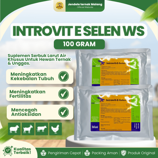 INTROVIT E SELEN WS 100 GRAM - Vitamin Meningkatkan Fertilitas Dan Sistem Kekebalan.