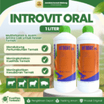 INTROVIT ORAL 100 ML – Multivitamin Mempercepat Pertumbuhan Dan Meningkatkan Produksi Hewan.