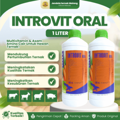 INTROVIT ORAL 100 ML – Multivitamin Mempercepat Pertumbuhan Dan Meningkatkan Produksi Hewan.