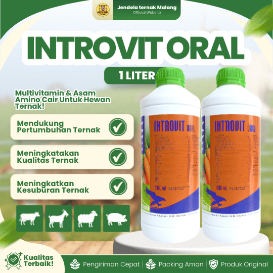 INTROVIT ORAL 100 ML - Multivitamin Mempercepat Pertumbuhan Dan Meningkatkan Produksi Hewan.