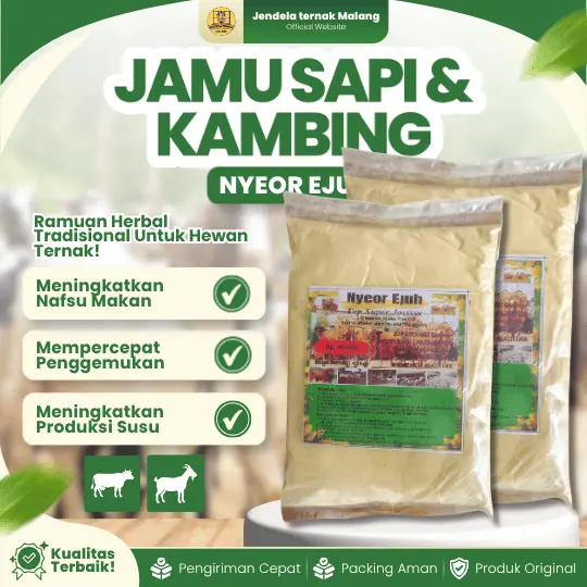 NYEOR EJUH – Jamu Untuk Sapi dan Kambing Beli 3 Gratis 1 Ekstrak Gula Asli.