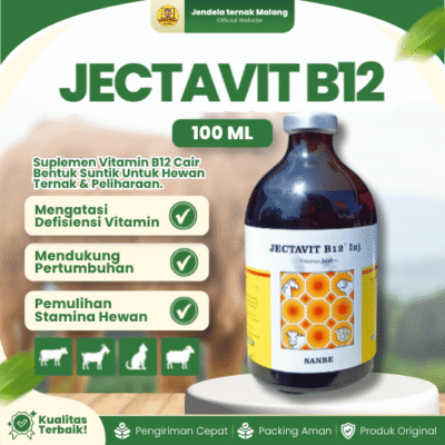 JECTAVIT B12 100 ML BY SANBE – Vitamin B12 Meningkatkan Dan Memulihkan Stamina Semua Hewan.