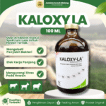 KALOXY LA 100 ML BY KALBE – AB Untuk Hewan Ternak Sapi Kambing Domba