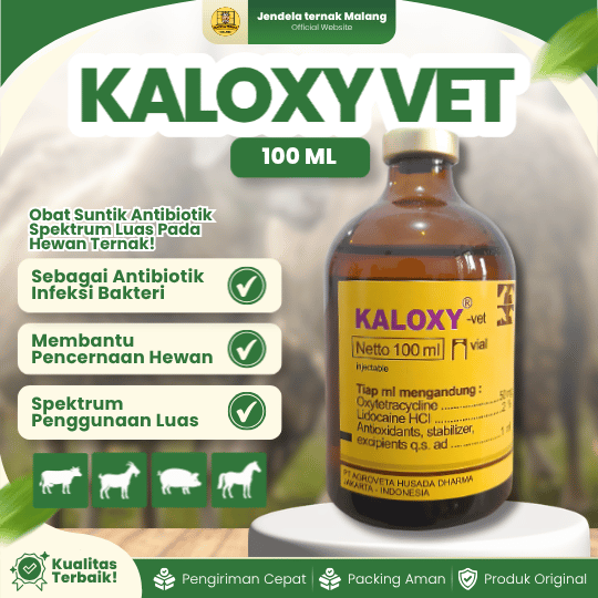 KALOXY VET 100 ML -  AB Untuk Pernapasan Dan Pencernaan Hewan Ternak