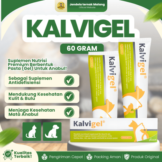 KALVIGEL 60 GRAM BY KALBE - Vitamin Kucing Dan Anjing Komplit Gel Like Nutriplus Gel.