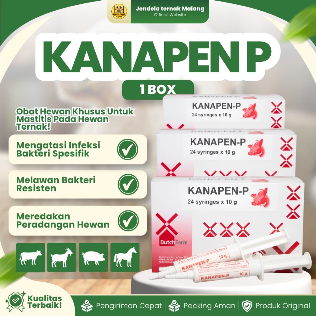 KANAPEN P 1 BOX ISI 24 SYRINGE - Untuk Masalah Mastitis Pada Ternak Sapi