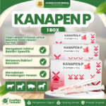 KANAPEN P 1 BOX ISI 24 SYRINGE – Untuk Masalah Mastitis Pada Ternak Sapi