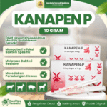 ECER KANAPEN P 10 GRAM –  Mastitis, Laktasi Like Biomycin Untuk Sapi, Kambing Dan Hewan Ternak.