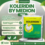 KOLERIDIN 250 GRAM 1 BOX (20 SACHET) - Untuk Ayam Dan Burung Mengalami Diare Hijau, Putih Dan Kolera