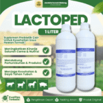 LACTOPED 1 LITER – Probiotik Peningkat Berat Badan, Integritas, Mengurai Amonia Dan Hewan Ternak.