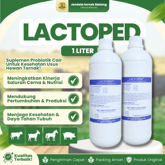 LACTOPED 1 LITER - Probiotik Peningkat Berat Badan, Integritas, Mengurai Amonia Dan Hewan Ternak.