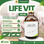 LIFE VIT 100 ML BY KALBE – Multivitamin Lengkap Mengandung Vit A, D3, B Complex, Vit C Dan K.