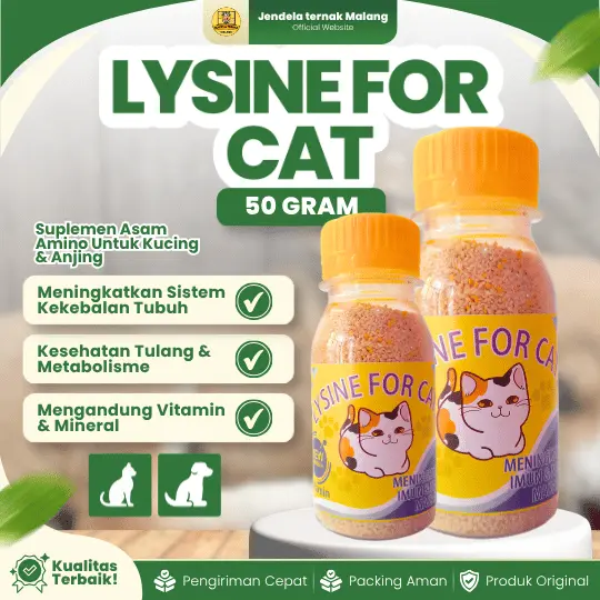 LYSINE FOR CAT 50 GRAM – Lysine untuk Suplemen Penambah Kesehatan Untuk Anjing & Kucing