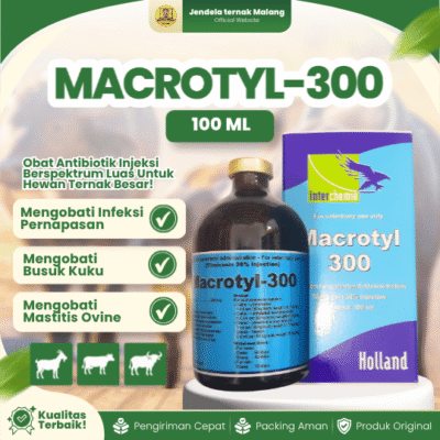 MACROTYL-300 100 ML BY TMC – AB Untuk PMK Pada Hewan Ternak Sapi Kerbau Kambing