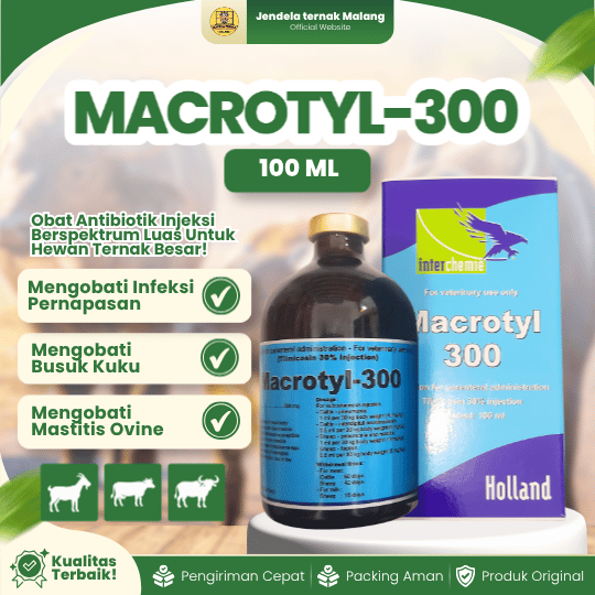 MACROTYL-300 100 ML BY TMC - AB Untuk PMK Pada Hewan Ternak Sapi Kerbau Kambing