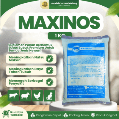 MAXINOS 1 KG – Susu Untuk Pengganti Susu Indukan dan Mempercepat Pertumbuhan Untuk Hewan Ternak.