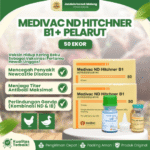 MEDIVAC ND HITCHNER B1 DOSIS 50 EKOR + PELARUT BY MEDION – Mengurangi Resiko Kematian Ayam & Unggas.