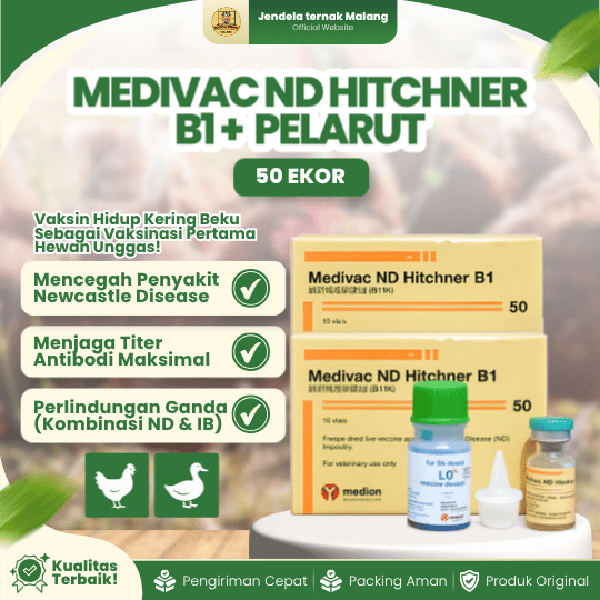 MEDIVAC ND HITCHNER B1 DOSIS 50 EKOR + PELARUT BY MEDION - Mengurangi Resiko Kematian Ayam & Unggas.