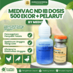 MEDIVAC ND IB DOSIS 500 EKOR + PELARUT BY MEDION -  Infeksius Bronkitis Dan Telo Tetelo Unggas.