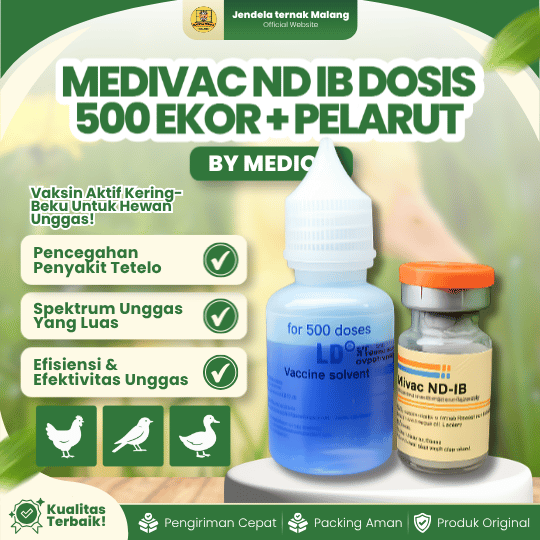 MEDIVAC ND IB DOSIS 500 EKOR + PELARUT BY MEDION -  Infeksius Bronkitis Dan Telo Tetelo Unggas.