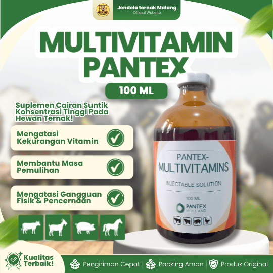 MULTIVITAMIN PANTEX 100 ML - Vitamin Untuk Hewan