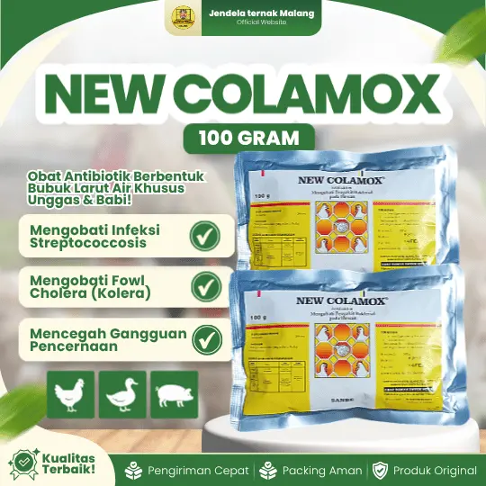 NEW COLAMOX 100 GRAM – ANTIBAKTERI Untuk Mengobati Penyakit Bakterial Pada Unggas Dan Ternak.